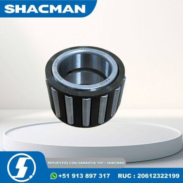 BSDS100-1701085 Rodamiento de rodillos cilíndricos